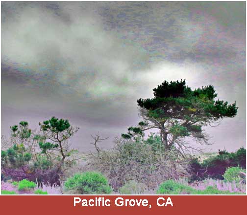 Paicific Grove CA